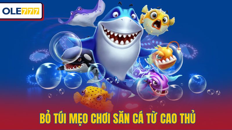 Bỏ túi mẹo chơi săn cá từ cao thủ
