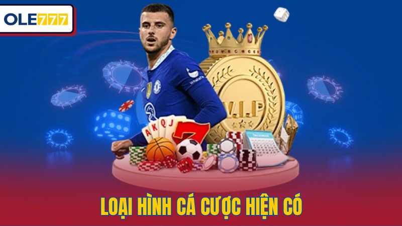 Loại hình cá cược hiện có